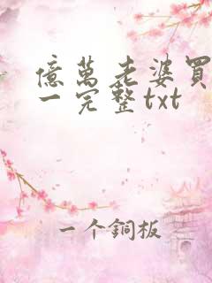 亿万老婆买一送一完整txt