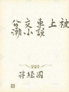 公交车上被插高潮小说