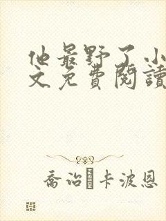 他最野了小说全文免费阅读