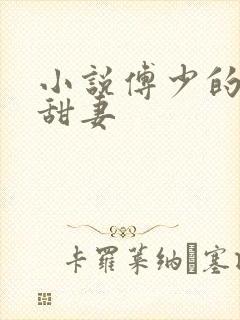 小说傅少的隐婚甜妻