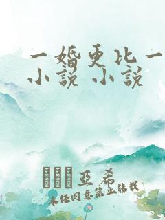 一婚更比一婚高小说 小说