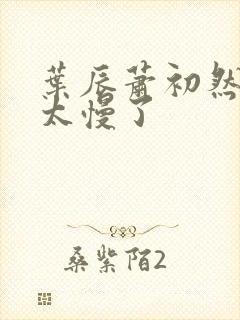 叶辰萧初然更新太慢了