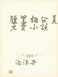 腹黑相公美如花免费小说