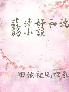 苏清妤和沈三爷的小说