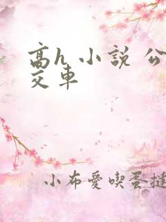 高h 小说 公交车