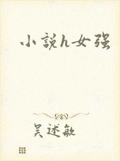 小说h女强