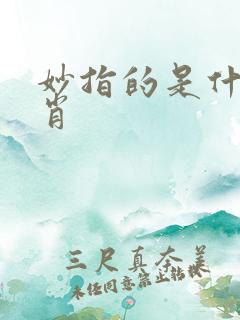 妙指的是什么生肖