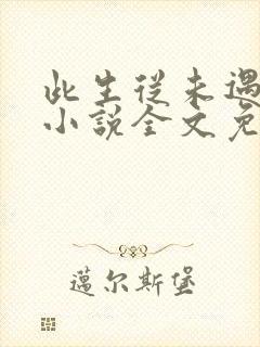 此生从未遇见你小说全文免费阅读