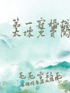 第一宠婚总裁别太坏免费阅读全文
