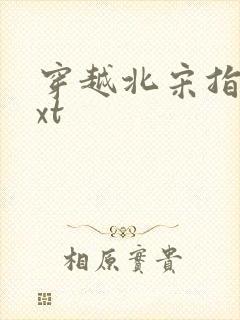 穿越北宋指南txt
