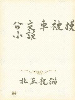 公交车被摸高潮小说