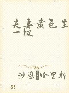夫妻黄色生活片一级