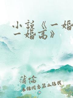 小说《一婚还比一婚高》