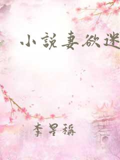 小说妻欲迷城