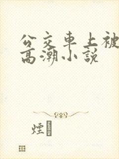公交车上被摸到高潮小说