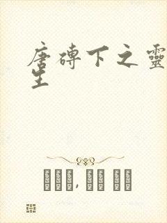 唐砖下之灵域双生