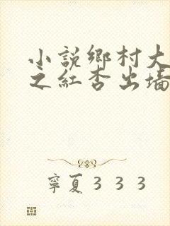 小说乡村大凶器之红杏出墙
