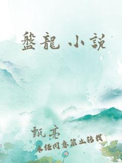 盘龙 小说