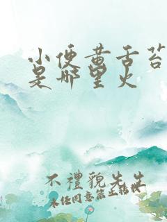 小便黄舌苔黄腻是哪里火