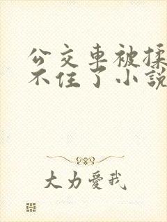 公交车被揉到忍不住了小说