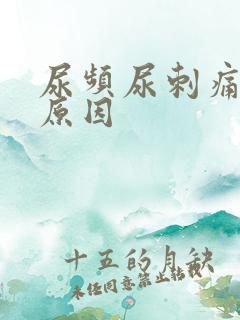 尿频尿刺痛什么原因