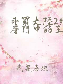 斗罗大陆2绝世唐门中的王冬