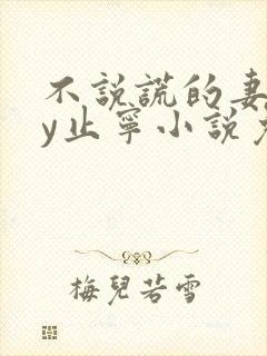 不说谎的妻子by止宁小说免费阅读