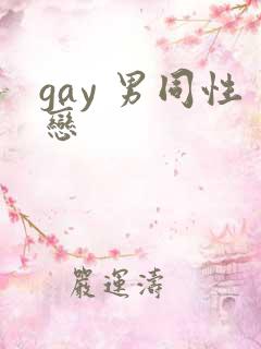 gay 男同性恋