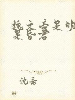 魏文帝是明君还是昏君