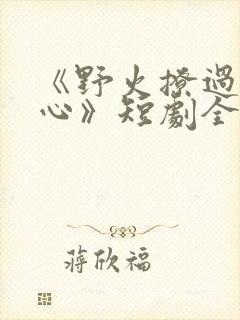 《野火撩过姐姐心》短剧全集免费观