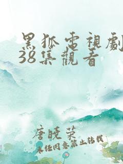 黑狐电视剧免费38集观看