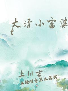 大清小富婆txt