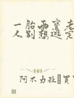 一胎两宝老婆大人别想逃完整版免费阅读