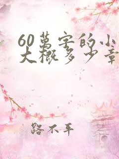 60万字的小说大概多少章