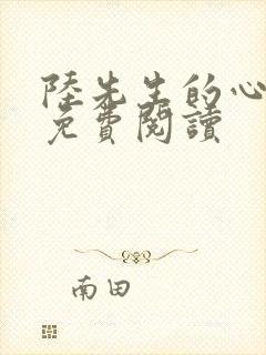 陆先生的心尖宠免费阅读