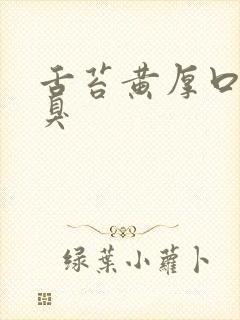 舌苔黄厚口干口臭