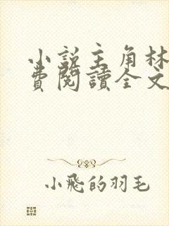 小说主角林风免费阅读全文