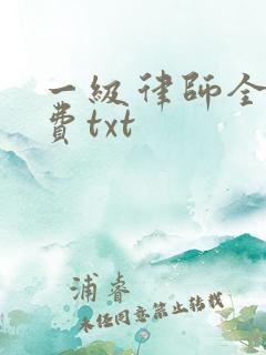一级律师全文免费txt