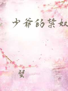 少爷的禁奴