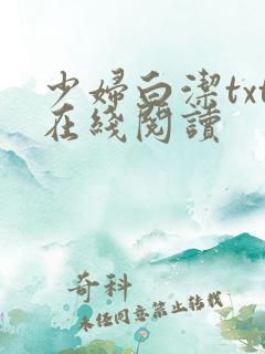 少妇白洁txt在线阅读
