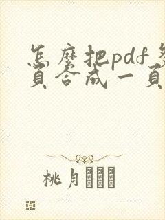 怎么把pdf多页合成一页