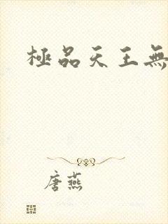 极品天王无弹窗