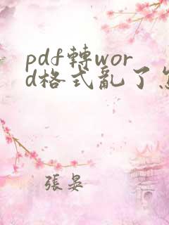 pdf转word格式乱了怎么调整