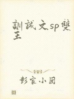 训诫文sp双男主