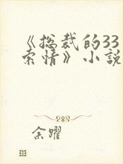《总裁的33日索情》小说