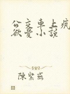 公交车上疯狂做欲爱小说