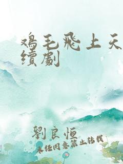 鸡毛飞上天 连续剧