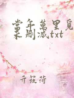 当年万里觅封侯未删减txt
