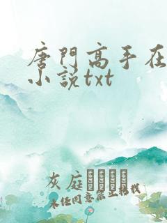 唐门高手在异世小说txt