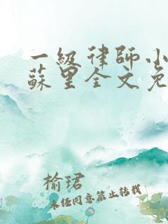 一级律师小说木苏里全文免费阅读